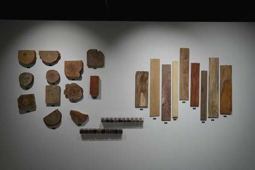 Traditional wooden percussion shells on display.