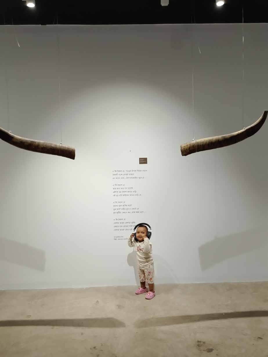 A pair of buffalo horns connected with Moishali gan of North Bangladesh.